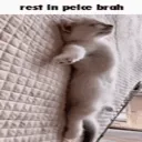 c_restinpelce