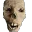 Crustyskull
