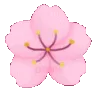 pink_sakura