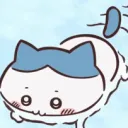 UN_HachiwareSwimming UN_HachiwareSwimming