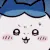 UN_HachiwareLick UN_HachiwareLick