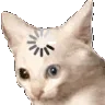 catloading