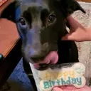 milliehappybirthday