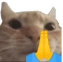 pray_cat Discord Emoji