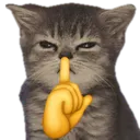 catshush