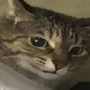 imresizer1711821360356