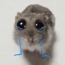 bullycry Discord Emoji