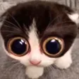 MONKA