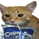 sipping