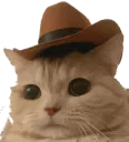 howdy