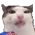 verycrunch