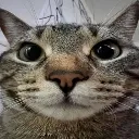 Ididntuploadthisemojitrustmeplz