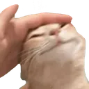 goodcatpat