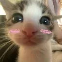 cb_meohihi