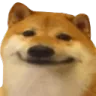 doge