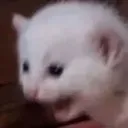emoji_48