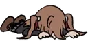 Deadge