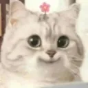 heheheheh