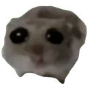 sadhamptor