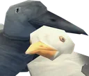 avianHug