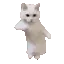 CatTime