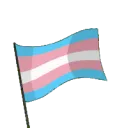 transwindyflag