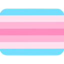 flag_transfem Discord emoji