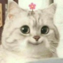 happi Discord emoji
