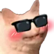 cat_cool cat_cool