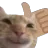 ThumbsUpCat1 ThumbsUpCat1