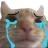 SadCat1