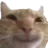 HappyCat1