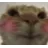 BlushCat1