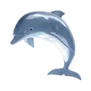 shiny_dolphin