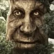 WiseMysticalTree