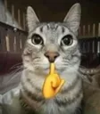 mewing1