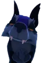 muujinhigh