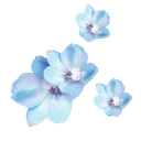 Cc Blue Flowers Discord Emoji