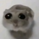 SadHamster Discord emoji
