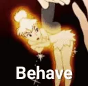 DD_behave