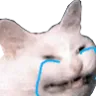 catcry