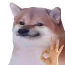 1000003627removebgpreview