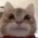 thestare