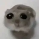 emo