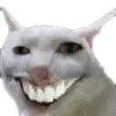 smilecat