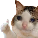 catthumb