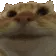 yes