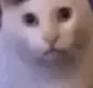 HUUH