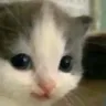 C_Hehe