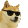 dogedance Discord emoji